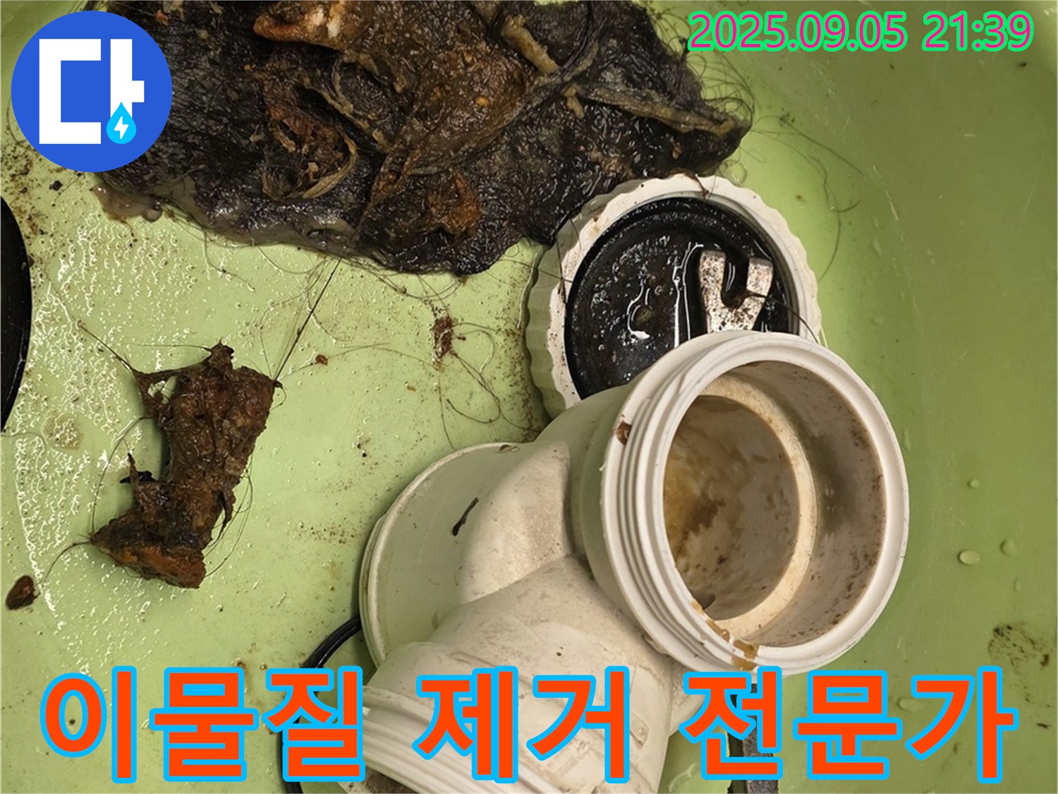 이물질 제거 전문가 - 숙련된 기술로 완벽하게 해결