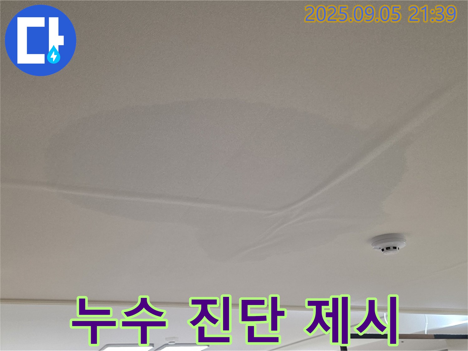 중랑구 면목동 누수 - 누수 진단 후 해결책 제시