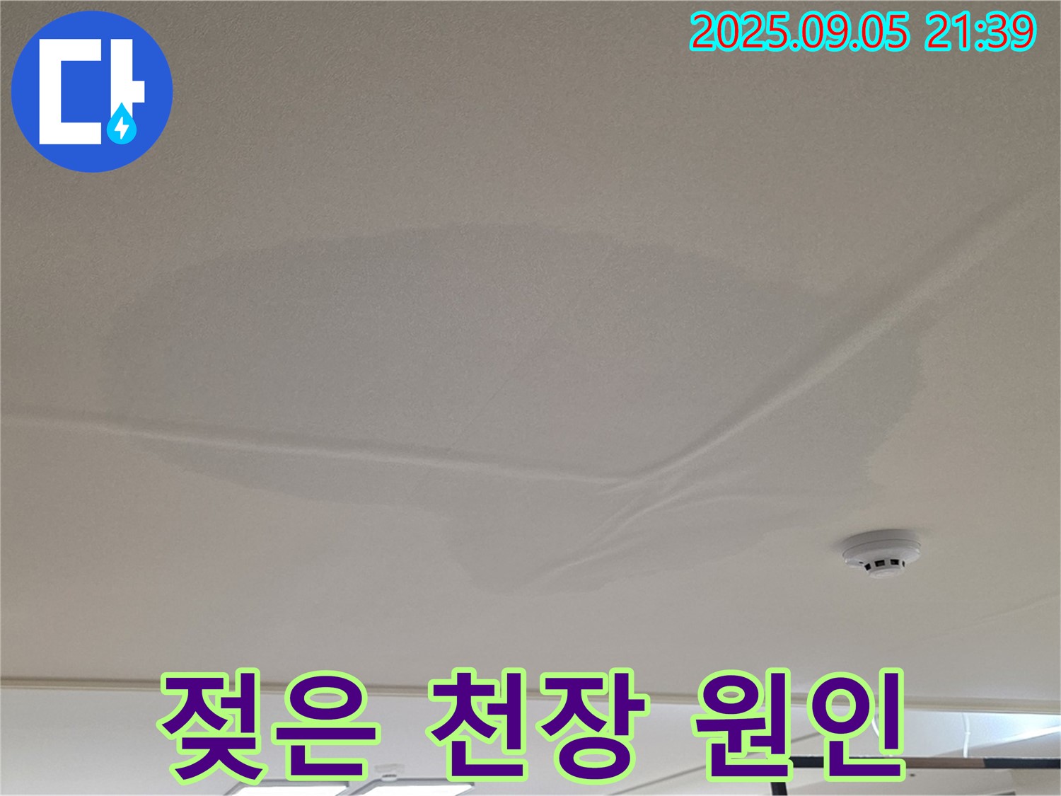 중랑구 면목동 아파트 누수 - 젖은 천장 원인 찾기