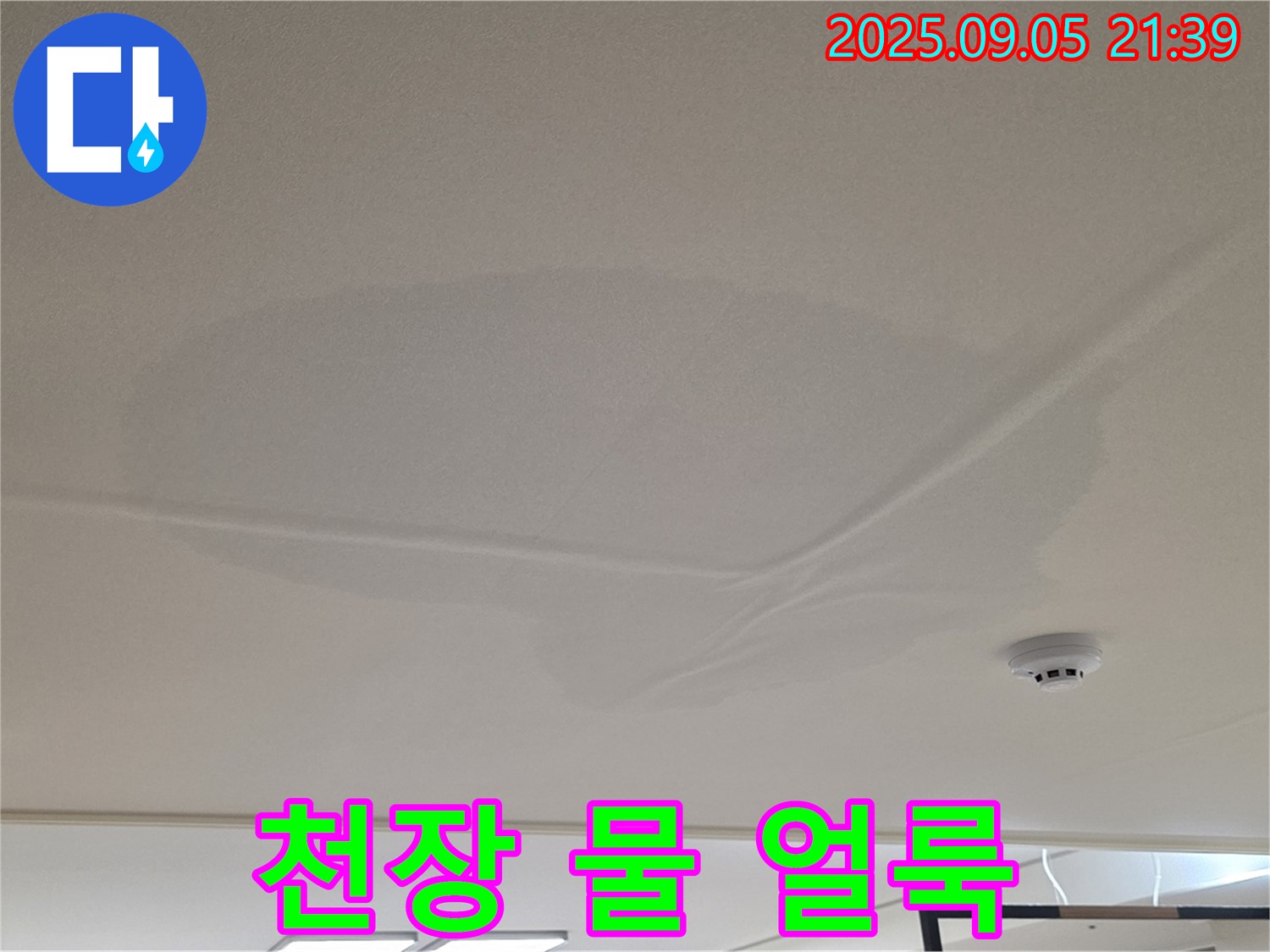 중랑구 면목동 아파트 윗집 누수 - 천장 물 얼룩, 젖은 천장
