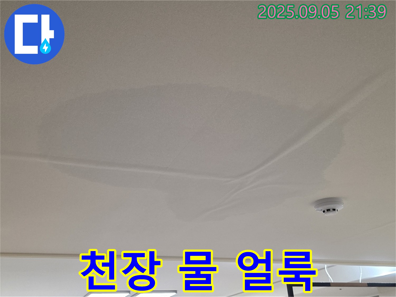 중랑구 면목동 아파트 천장 누수 - 젖은 천장과 물 얼룩