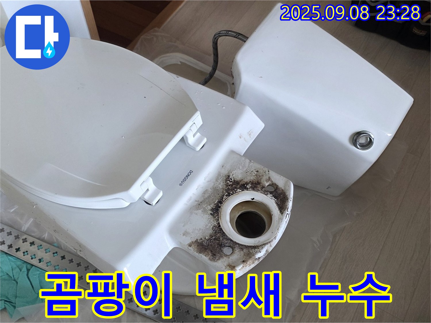곰팡이 냄새 - 누수 진단