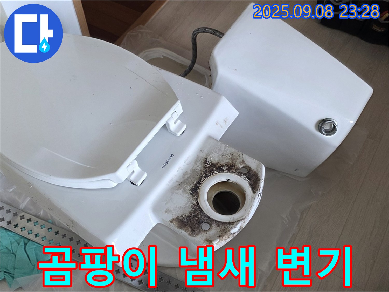 곰팡이 냄새 - 변기 교체