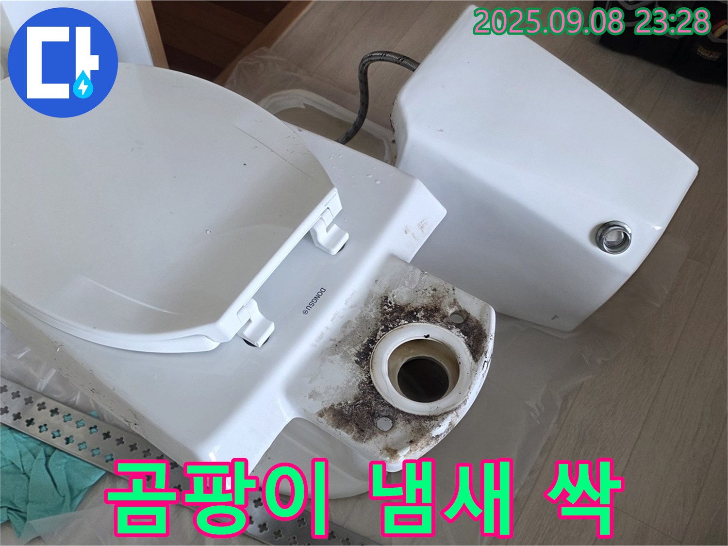 곰팡이 냄새 싹 - 변신