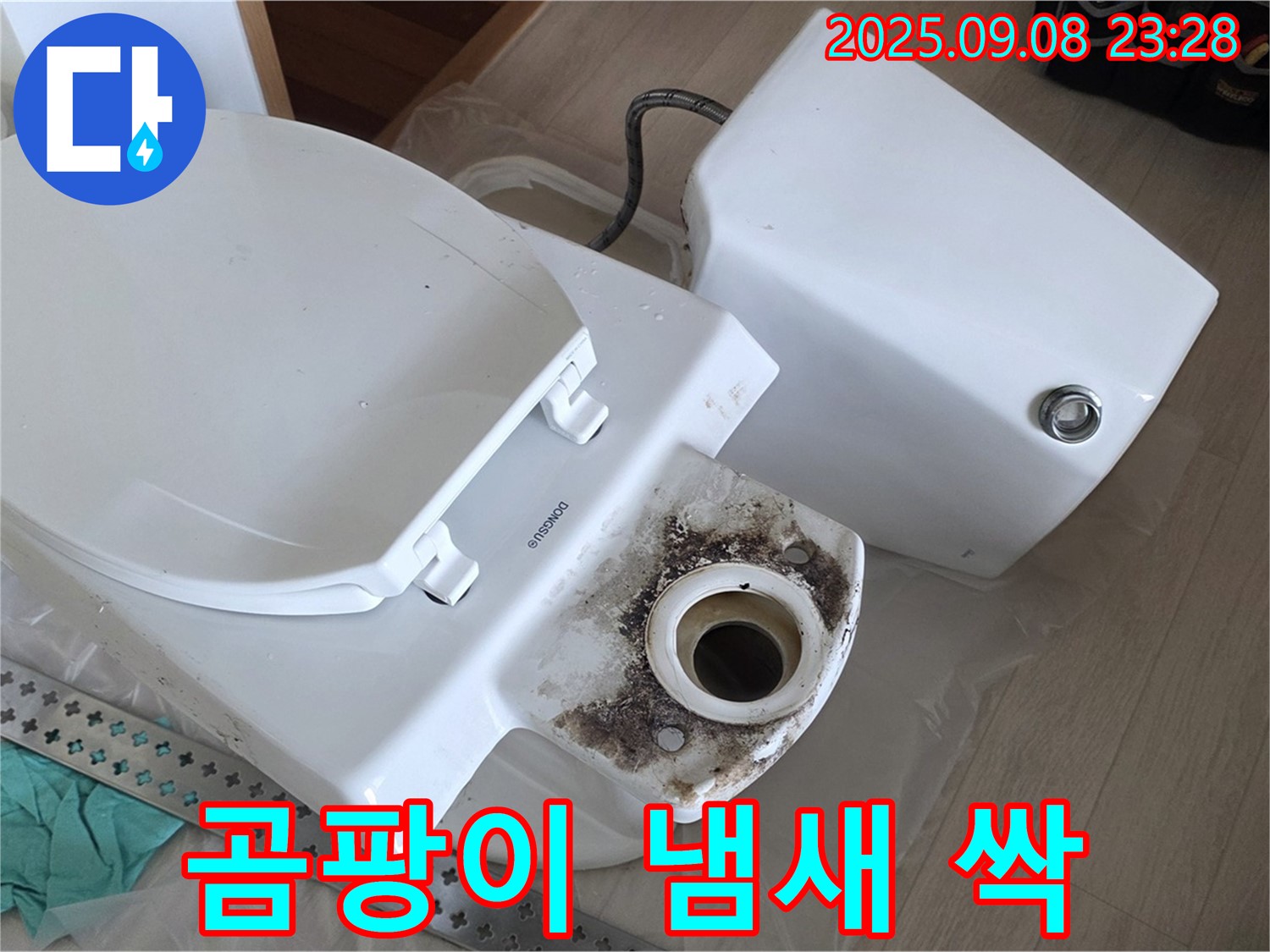 곰팡이 냄새 싹 - 변신