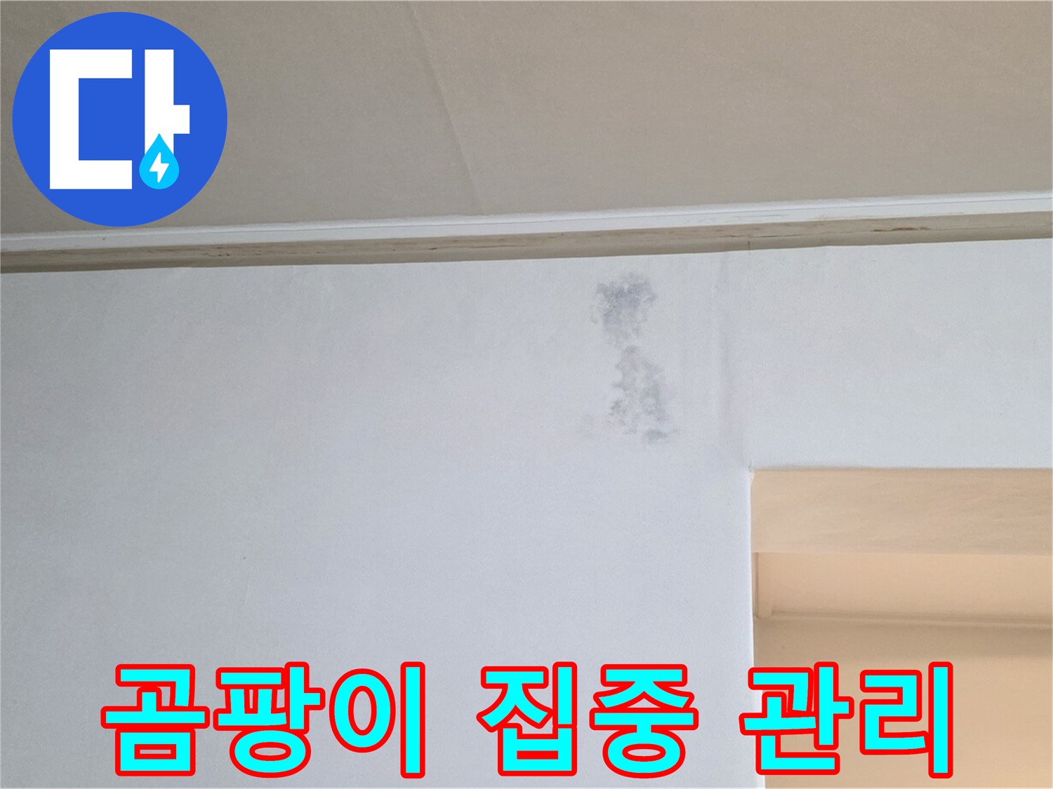 곰팡이 발생 부위 집중 관리 - 맞춤형 솔루션