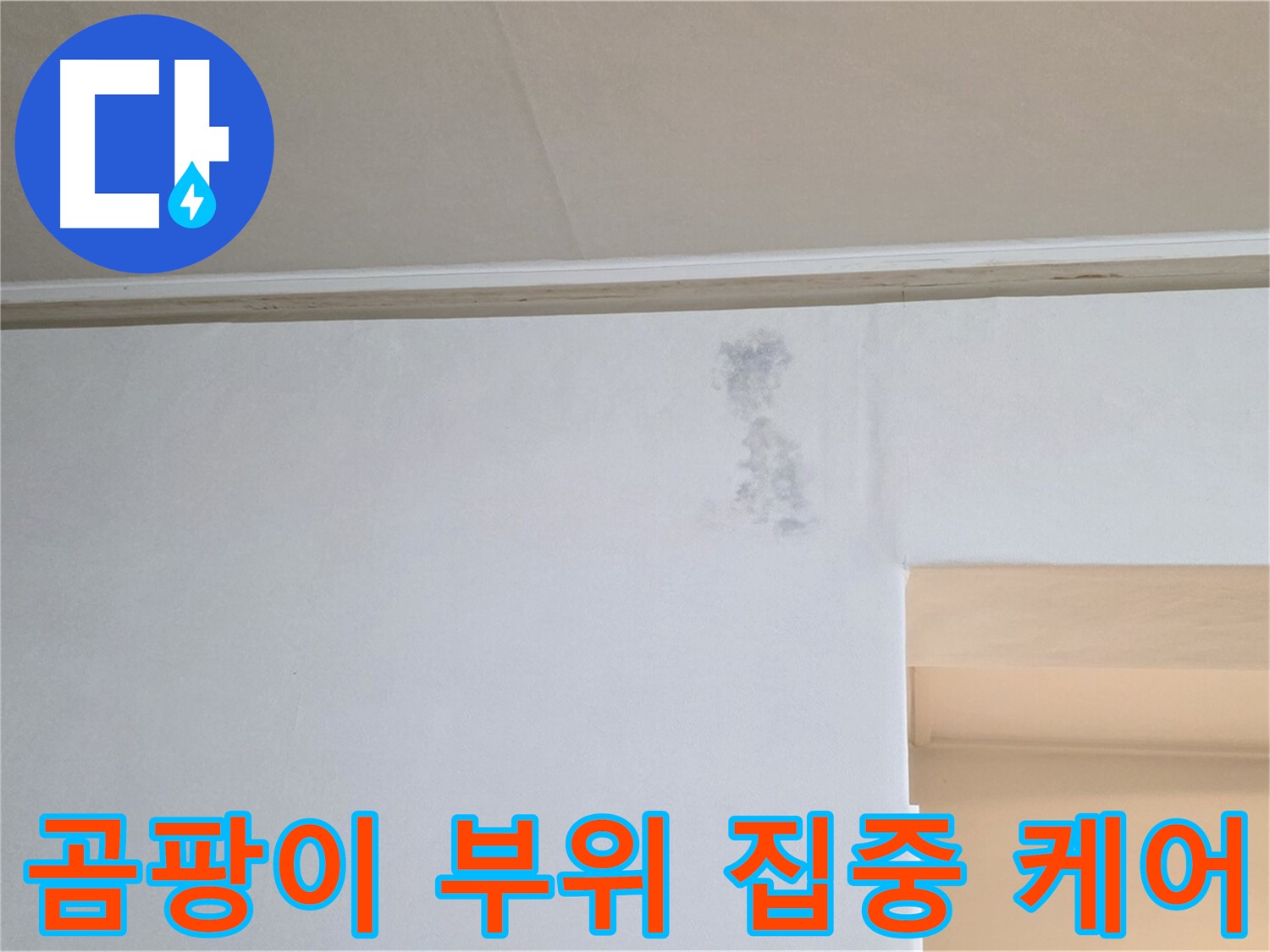 곰팡이 발생 부위 집중 케어 - 꼼꼼한 관리