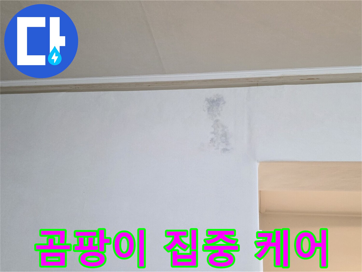 곰팡이 발생 부위 집중 케어 - 맞춤형 솔루션