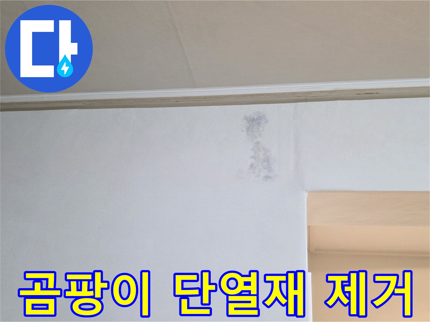 곰팡이 슨 단열재 완벽 제거 - 쾌적한 환경 조성