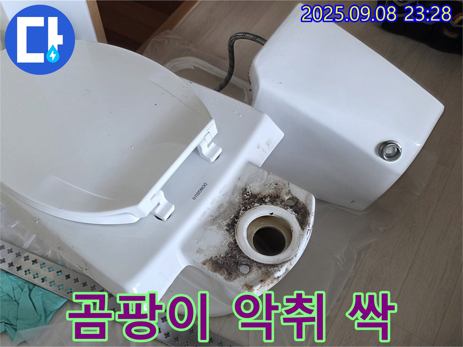 곰팡이 악취 싹 - 깨끗