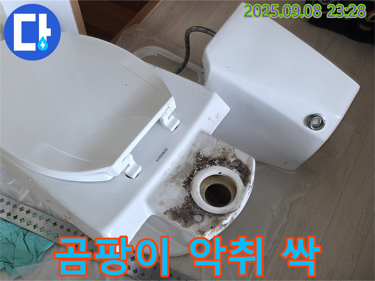 곰팡이 악취 싹 - 변신