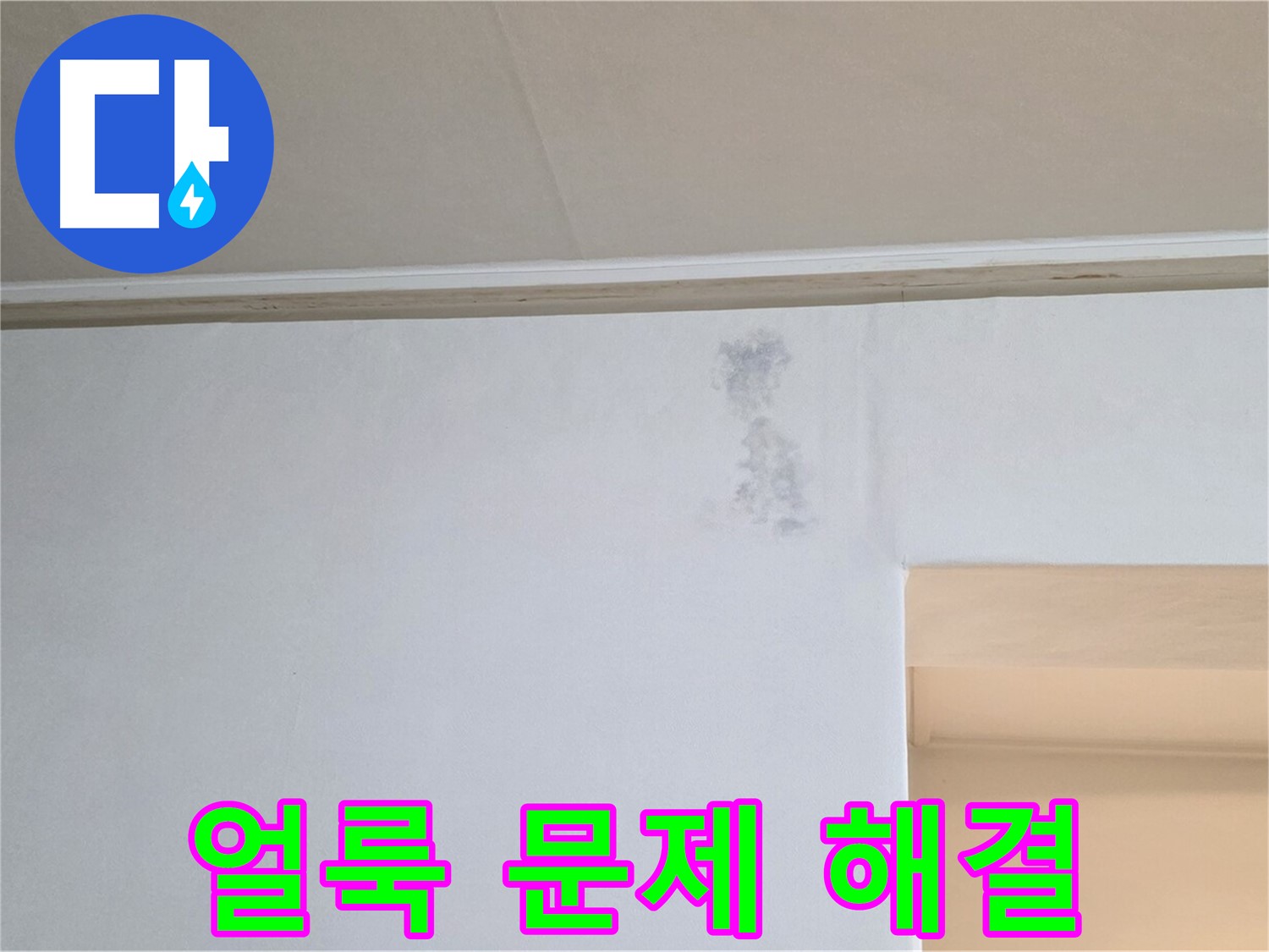 곰팡이 얼룩 문제 해결 - 건강한 보금자리 완성