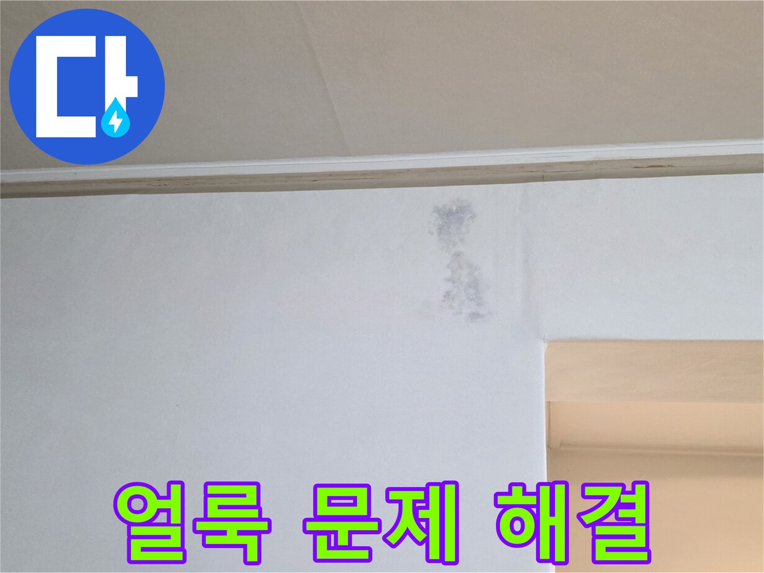 곰팡이 얼룩 문제 해결 - 건강한 보금자리 완성