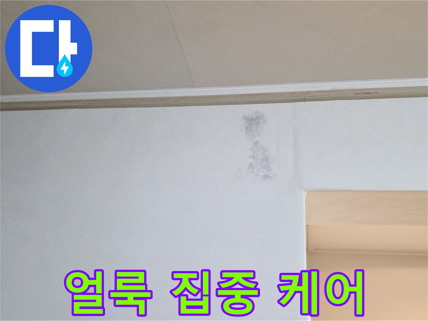 곰팡이 얼룩 발생 부위 집중 케어 - 맞춤 솔루션