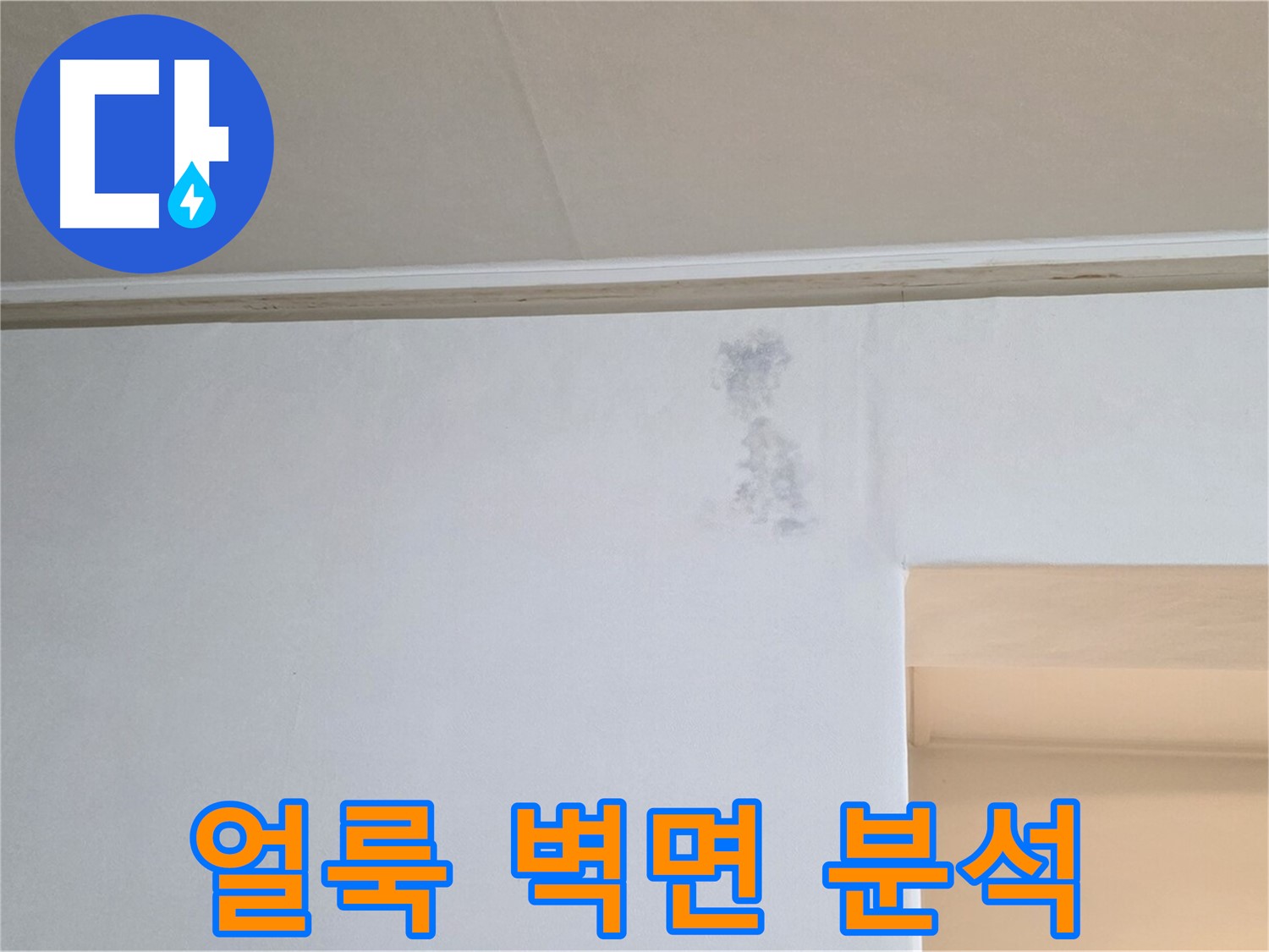 곰팡이 얼룩 심각 - 원인 분석 및 해결책 제시