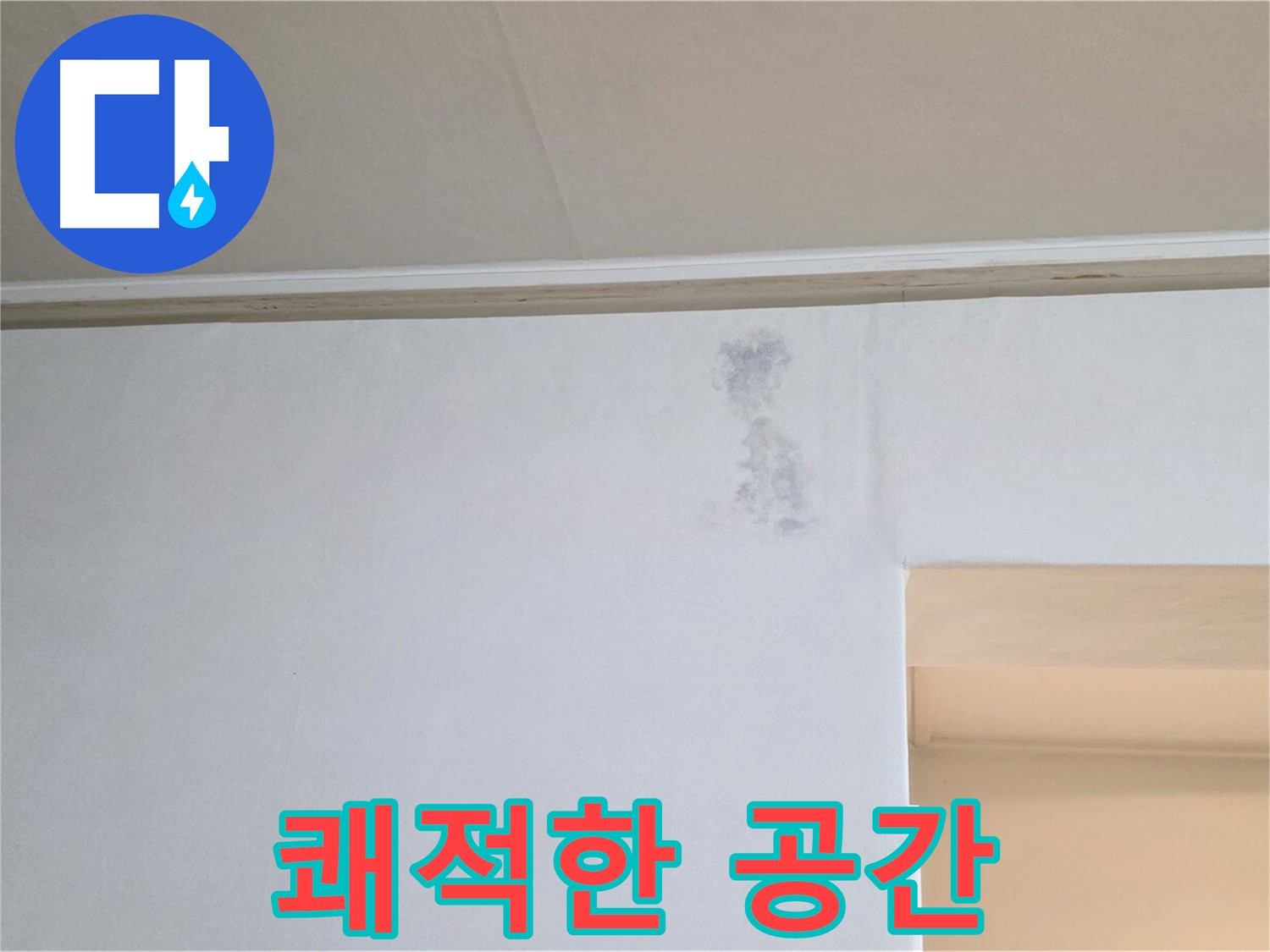 곰팡이 없는 쾌적한 공간 - 건강한 생활 시작