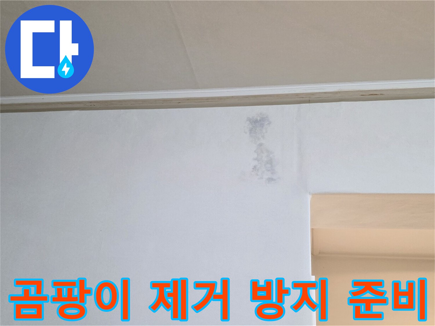 곰팡이 제거 및 방지 시공 준비 완료 - 쾌적한 공간