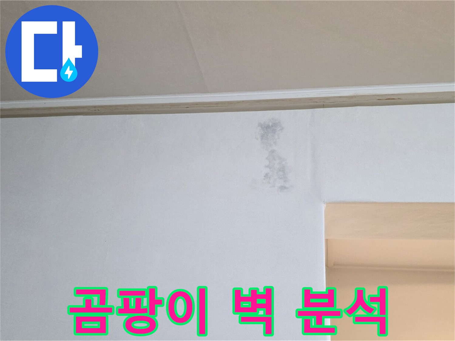 곰팡이 핀 벽 심각 - 누수 경로 파악