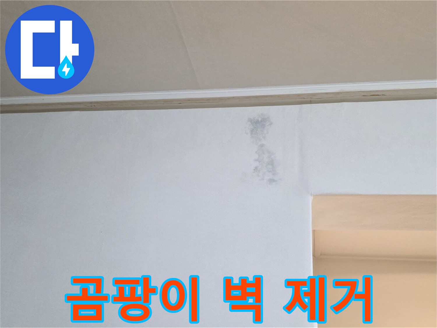 곰팡이 핀 벽 제거 - 깨끗한 공간 복원