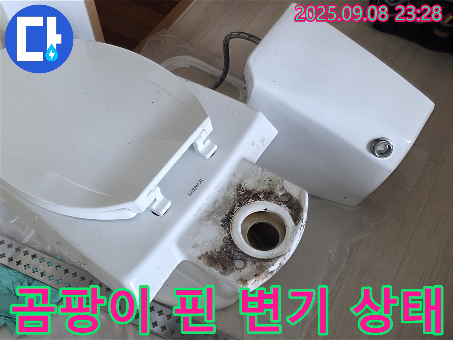 곰팡이 핀 변기 상태 - 오래된 변기 하부에 곰팡이가 심하게 핀 모습