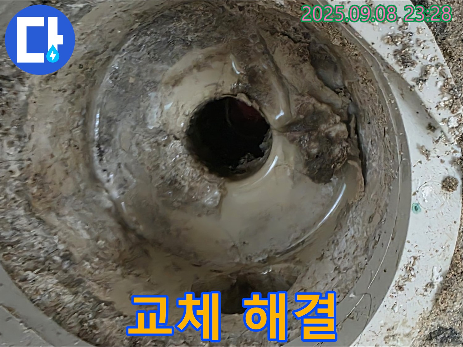 깨진 배수구 - 신속한 교체로 누수 해결