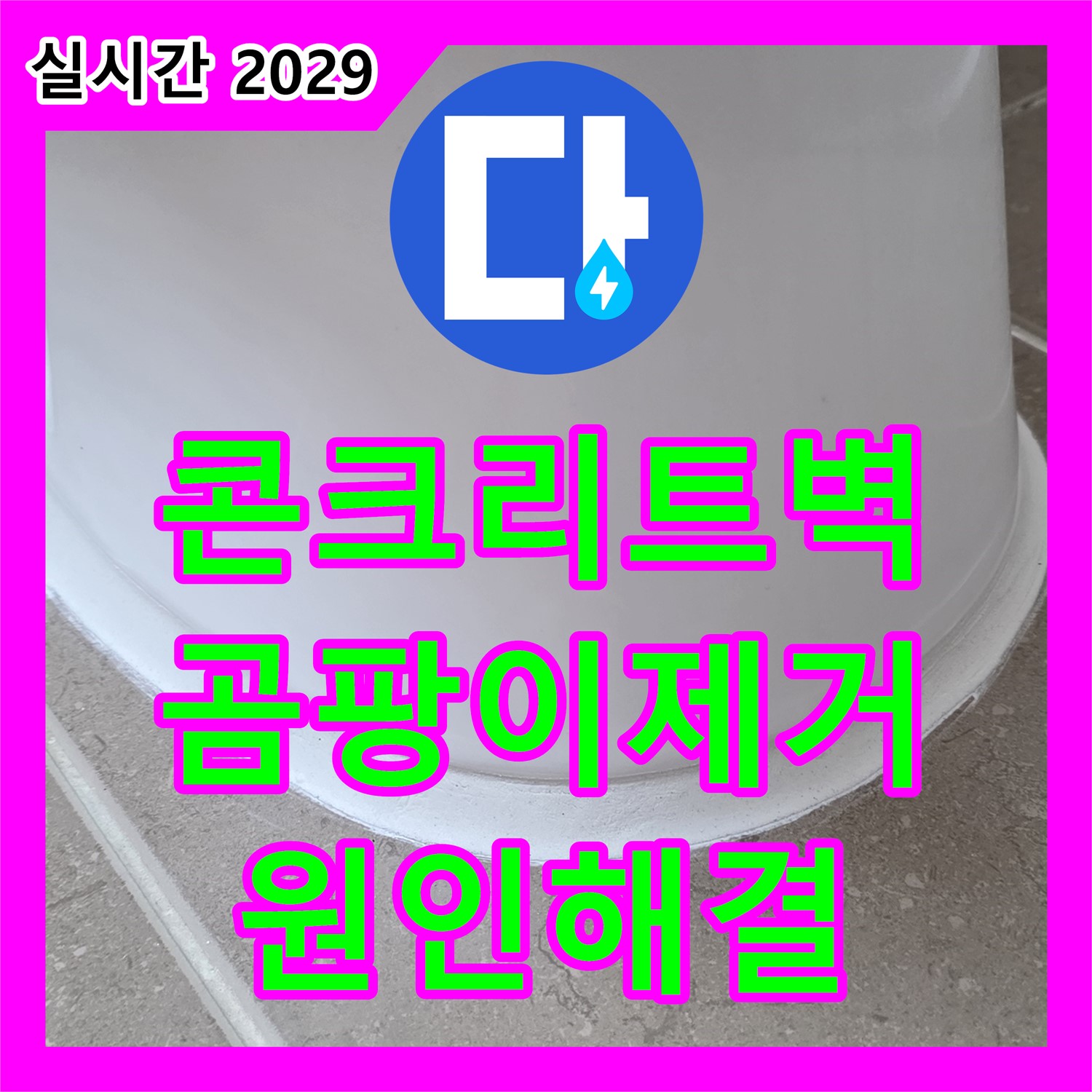 누수설비, 콘크리트 벽 곰팡이, 신속 제거 및 원인 해결