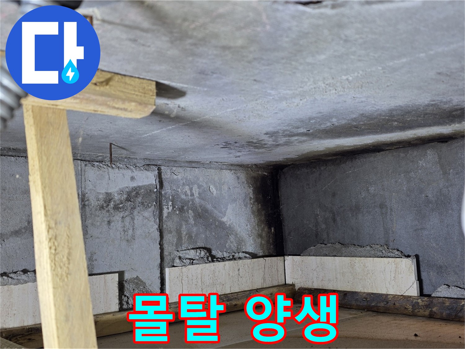 몰탈 양생 - 충분한 건조 시간 확보