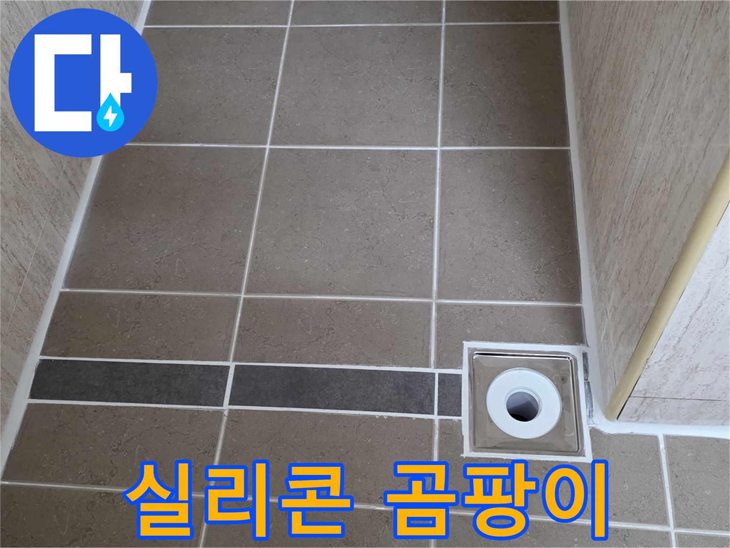 배수구 주변 실리콘 - 곰팡이 발생 확인