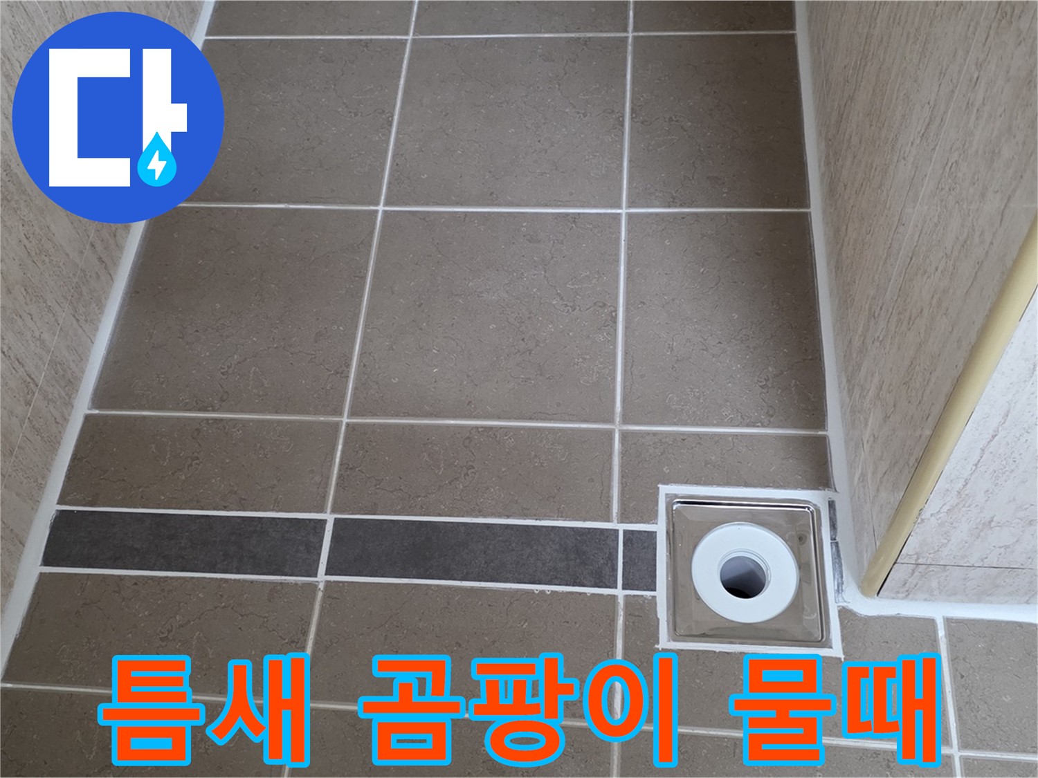 배수구 주변 타일 틈새 - 곰팡이 및 물때