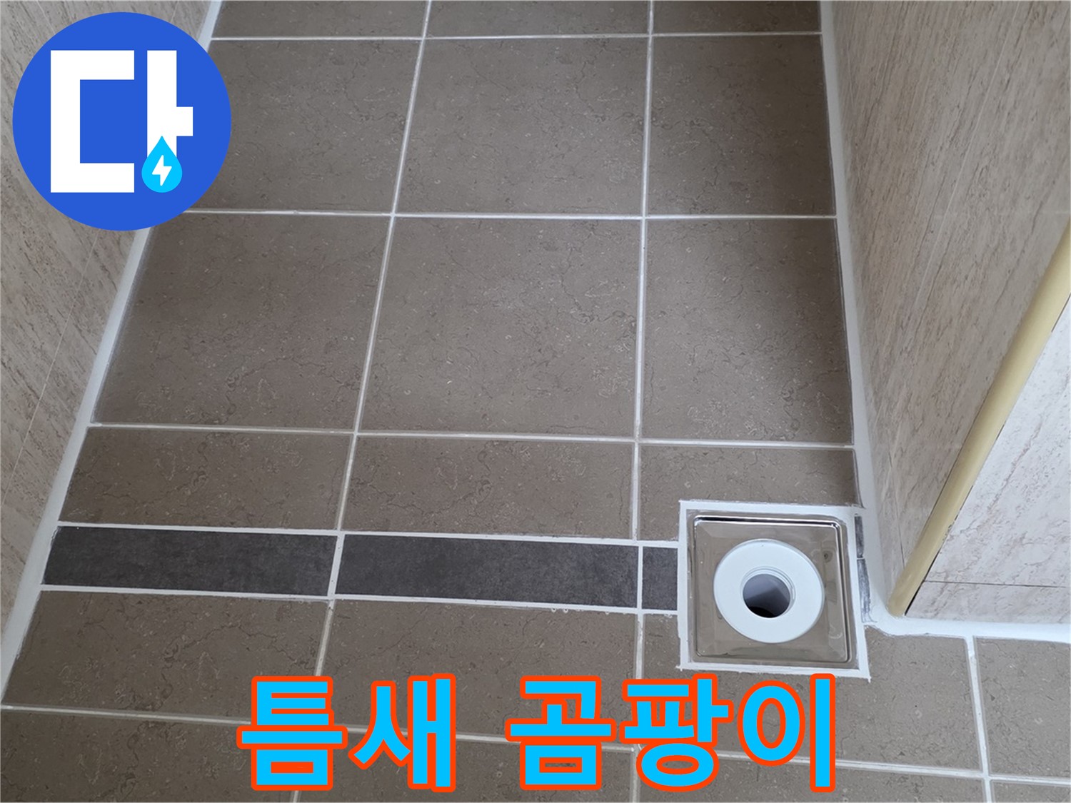 배수구 주변 타일 틈새 - 곰팡이 번식
