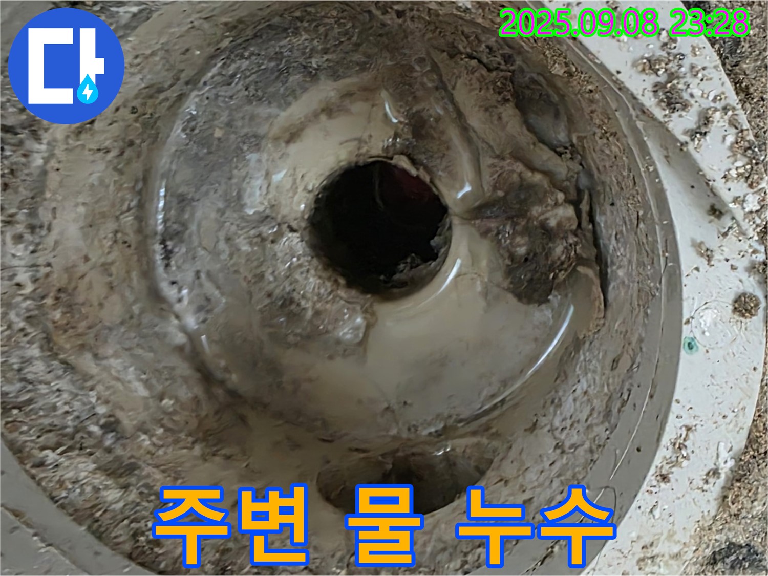 배수구 주변의 물 - 누수 진단