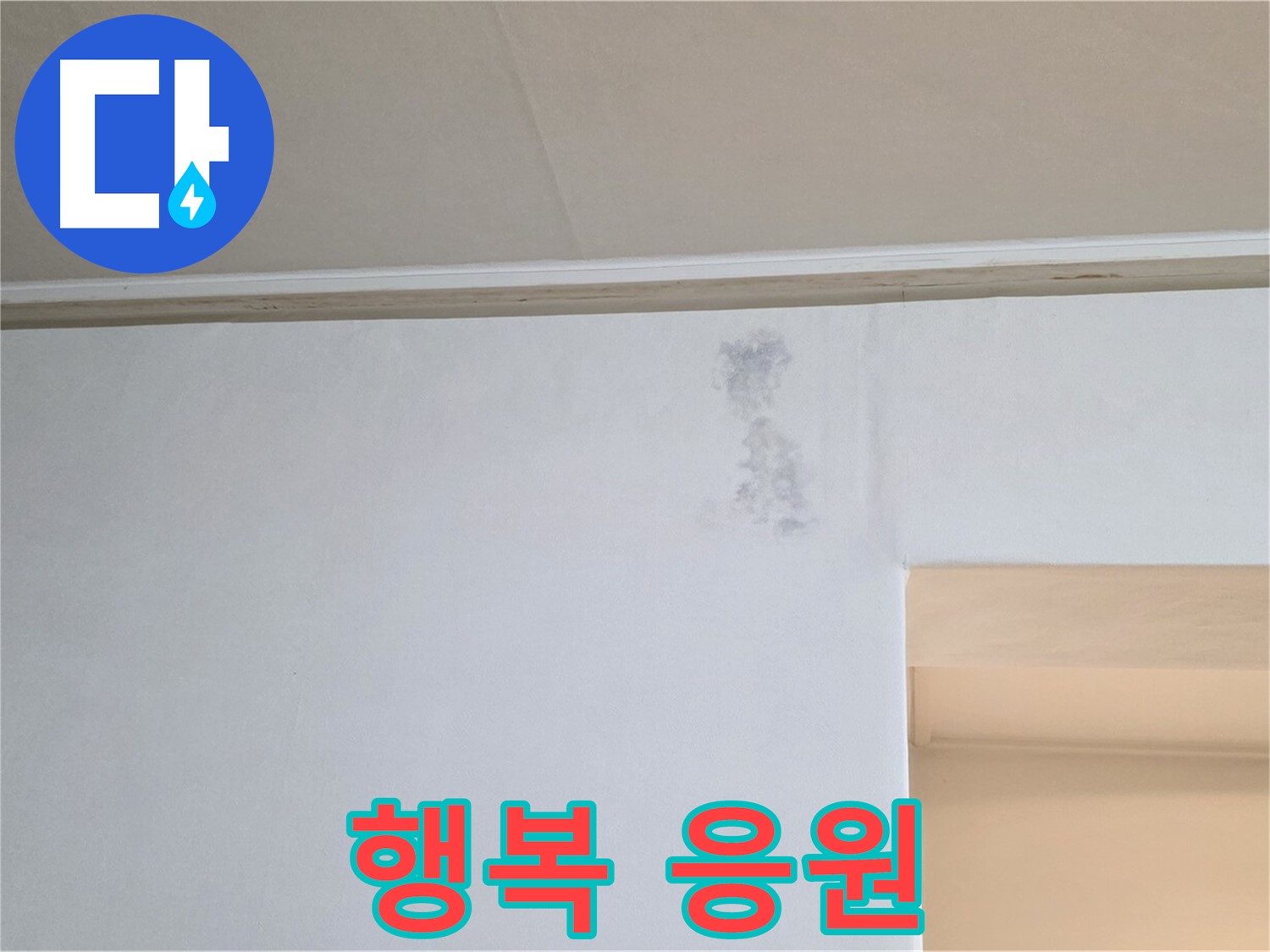 벽 곰팡이 문제 해결 - 건강과 행복을 응원합니다!