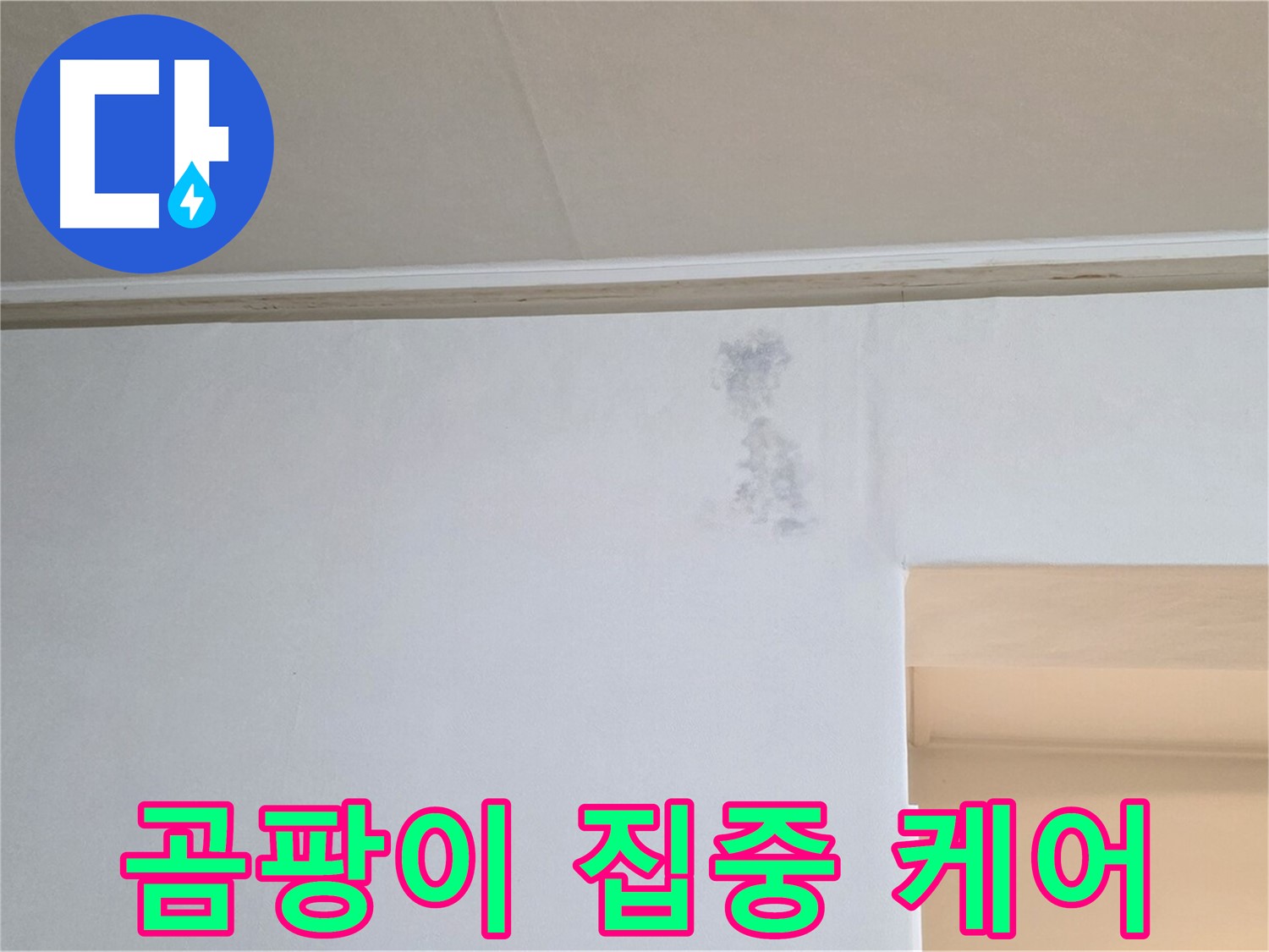 벽 곰팡이 발생 부위 집중 케어 - 맞춤 솔루션