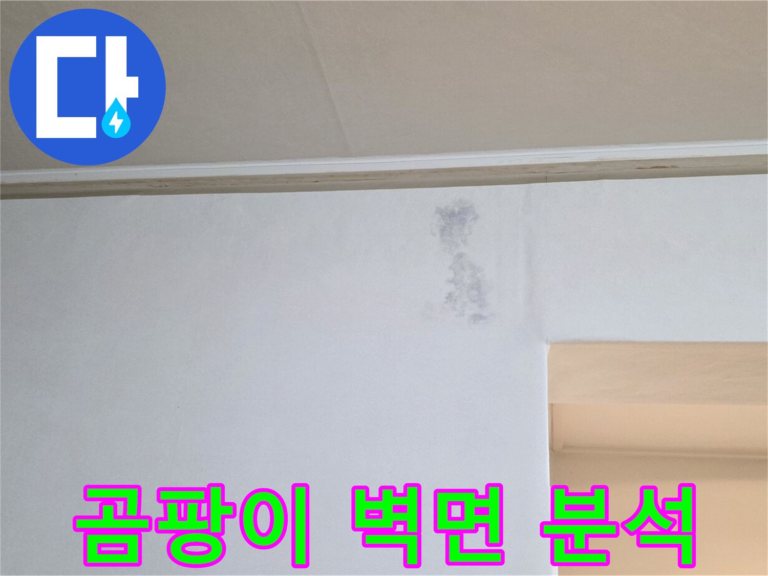 벽 곰팡이 심각 - 원인 분석 및 해결책 제시