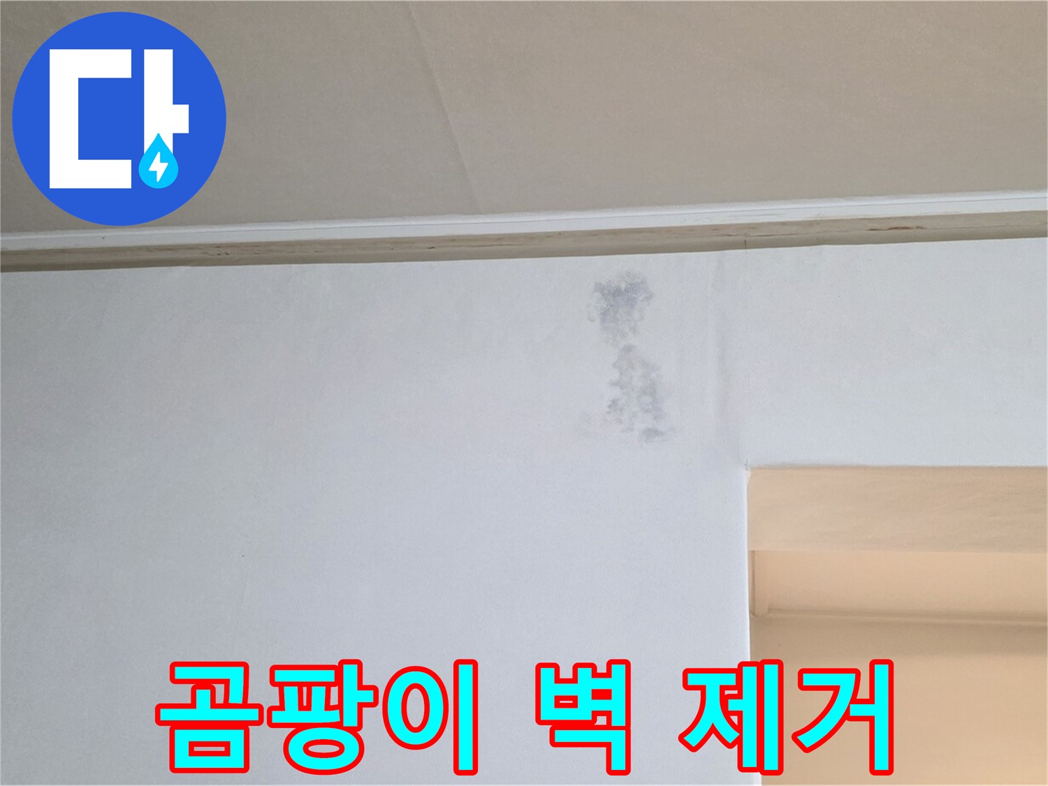 벽 곰팡이 완벽 제거 - 쾌적한 공간으로 변신