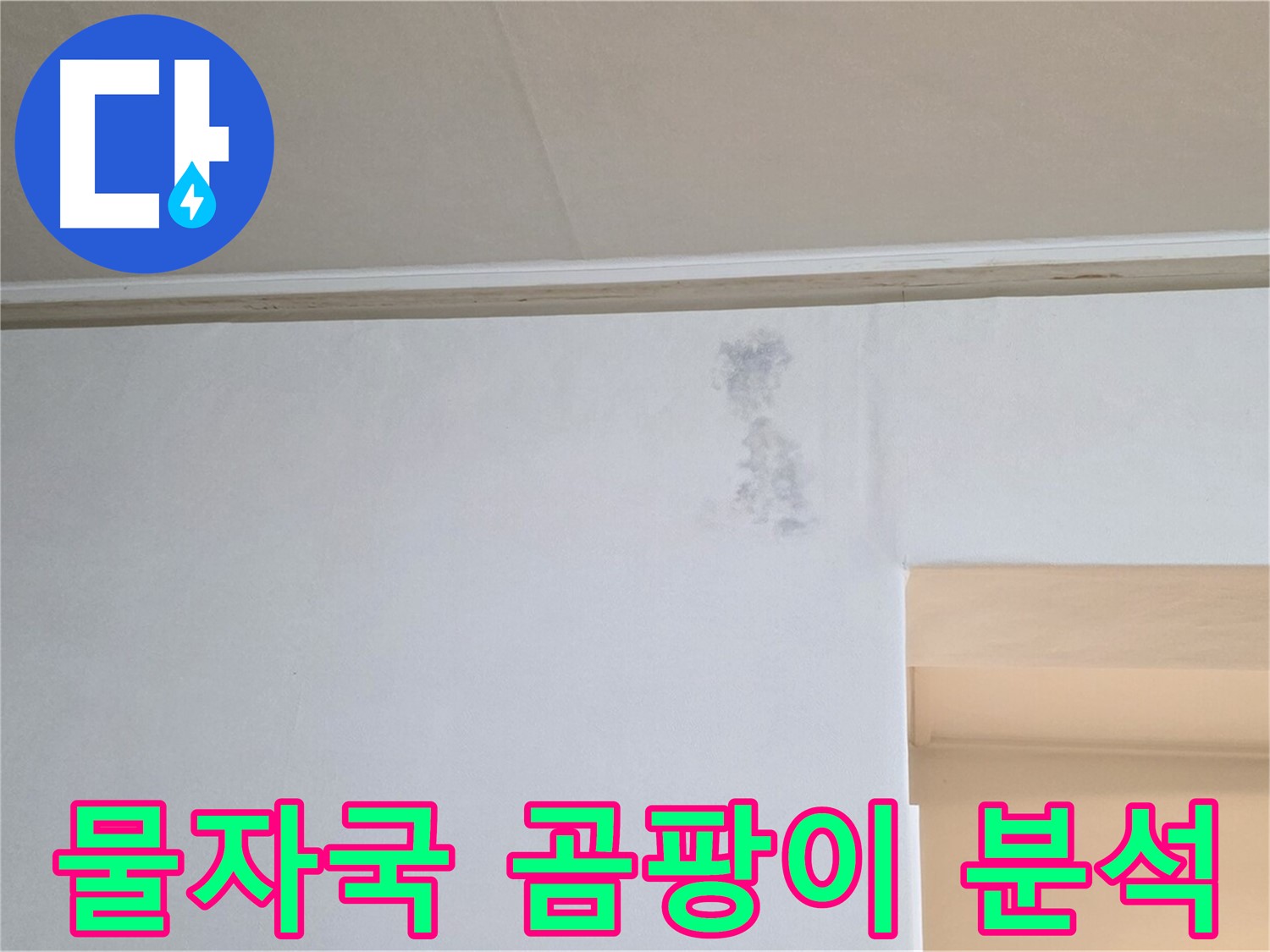 벽 물자국과 곰팡이 - 원인 분석 및 해결