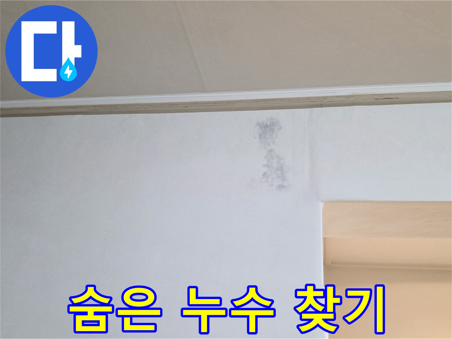 벽 속 숨은 누수 - 곰팡이 원인 찾기