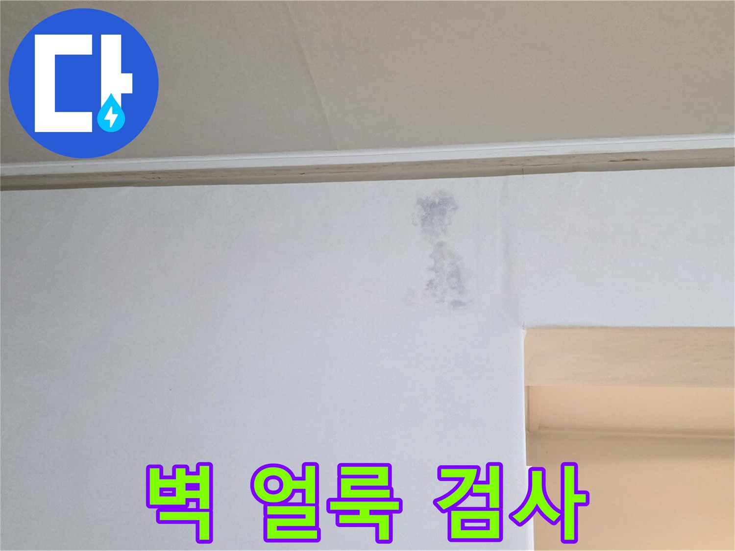 벽 얼룩 심각 - 누수 경로 파악