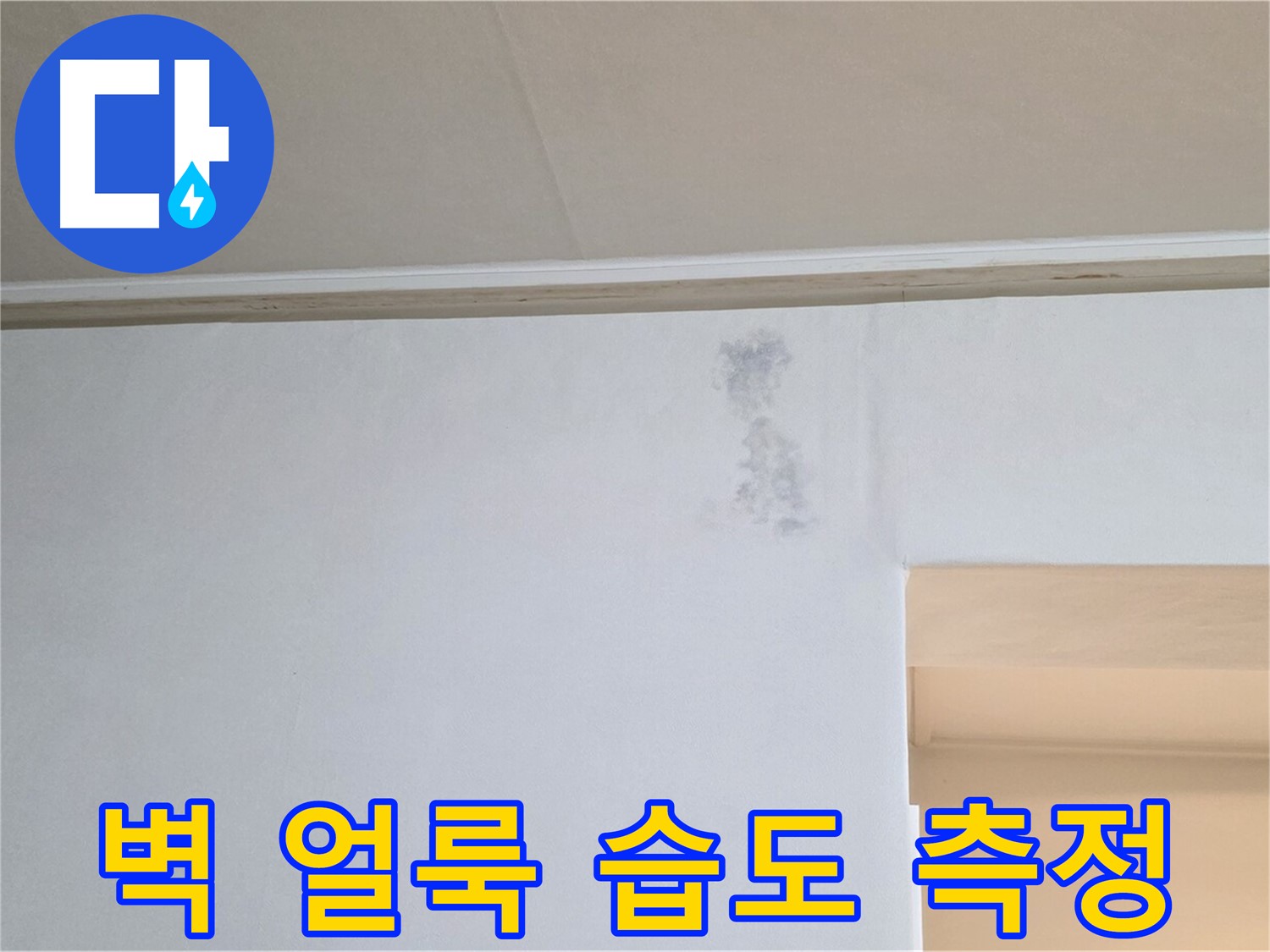 벽 얼룩 주변 습도 측정 - 누수 가능성 확인