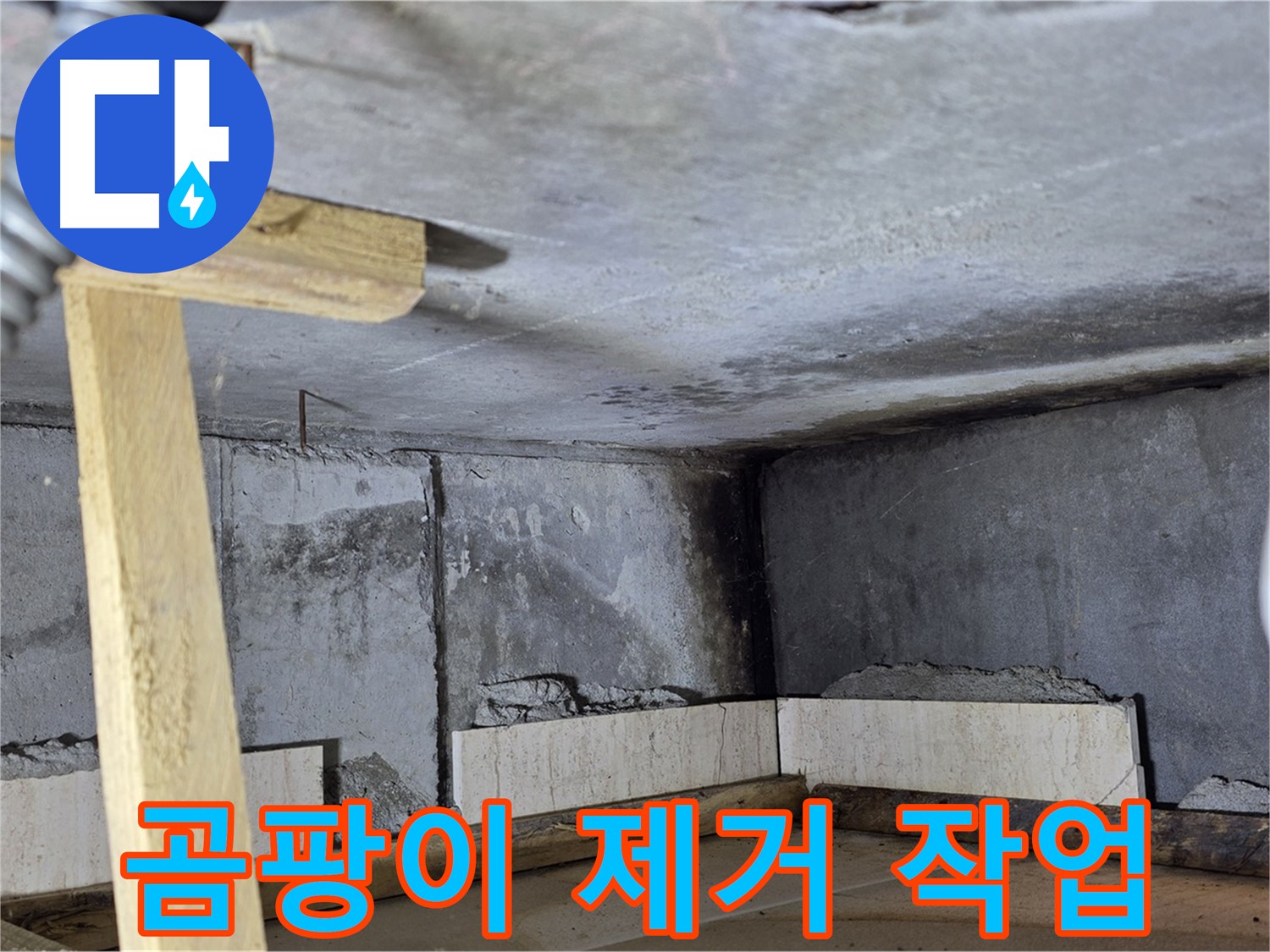 벽면 하단 - 곰팡이 제거
