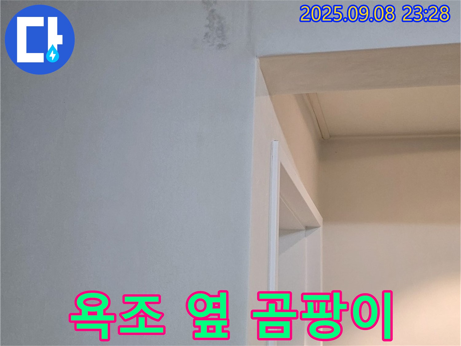 욕조 옆 곰팡이 - 냄새, 긴급