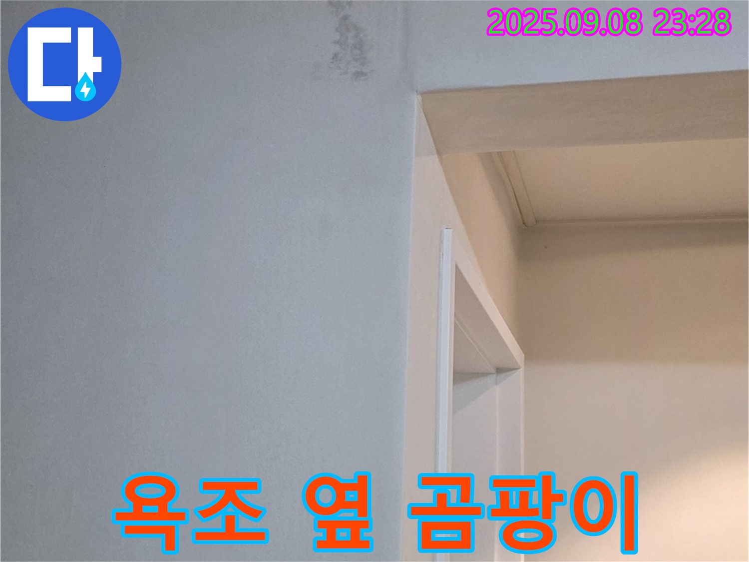 욕조 옆 곰팡이 - 제거 - 코팅 시공