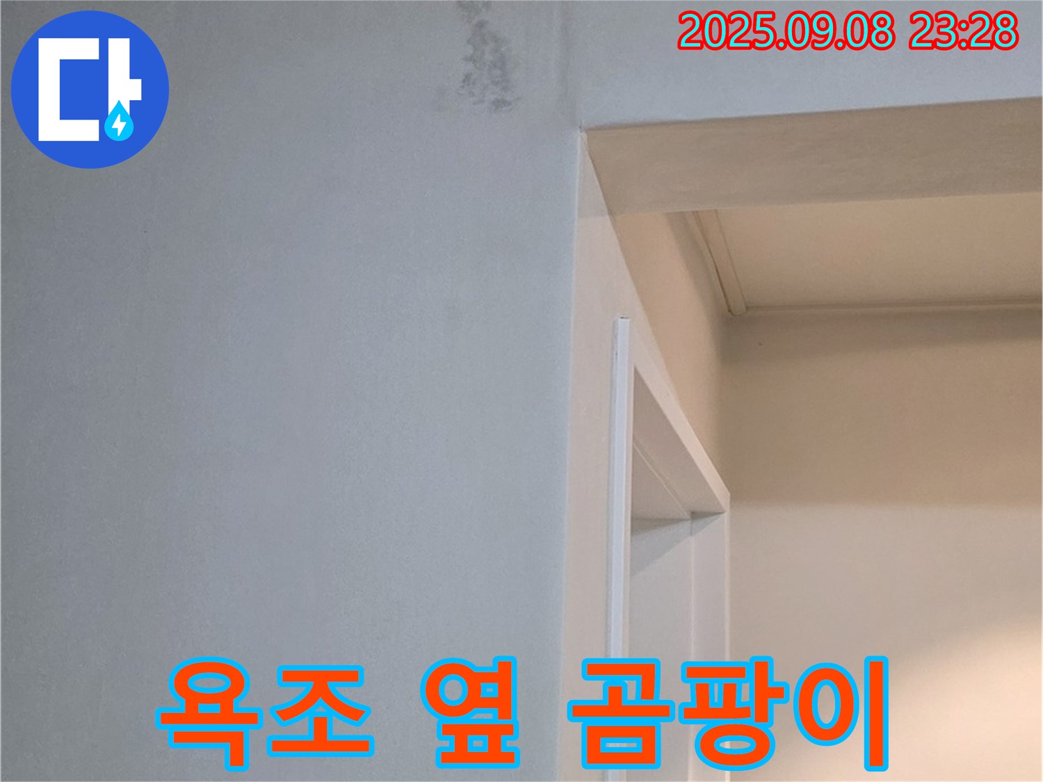 욕조 옆 곰팡이 - 천연 약품 - 안심