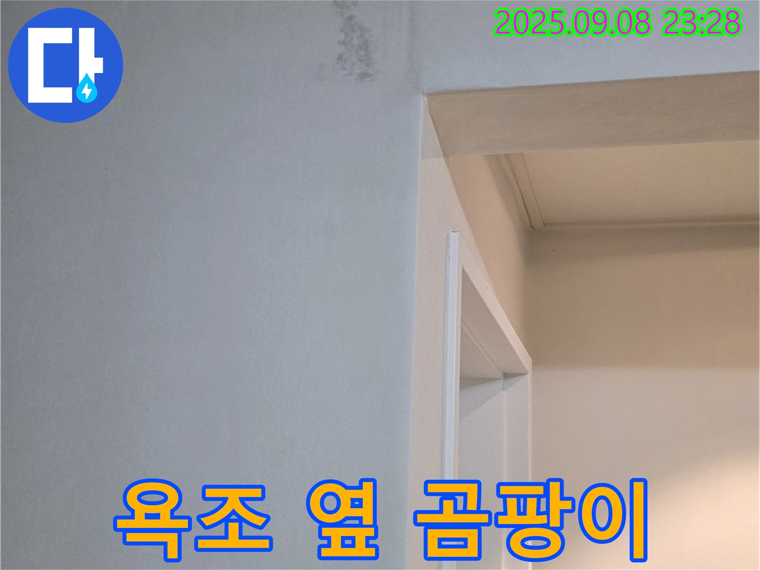 욕조 옆 곰팡이 - 친환경 약품 사용