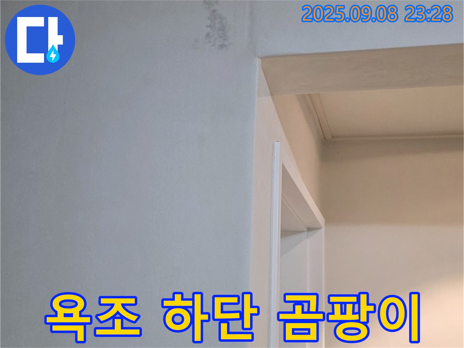 욕조 하단 곰팡이 - 냄새 제거 - 쾌적