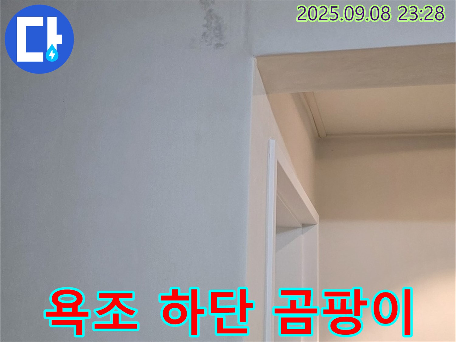 욕조 하단 곰팡이 - 냄새 제거 - 쾌적