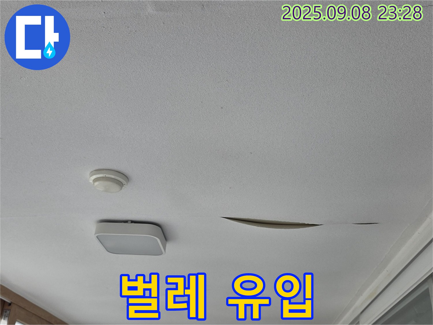 운악청계로 아파트 베란다 천장 - 석고보드 찢어진 틈새로 벌레 유입