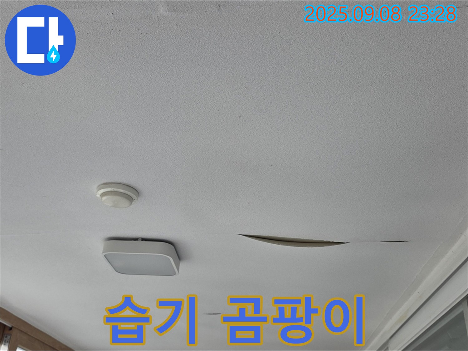 운악청계로 아파트 베란다 천장 - 석고보드 찢어진 틈새로 습기 및 곰팡이