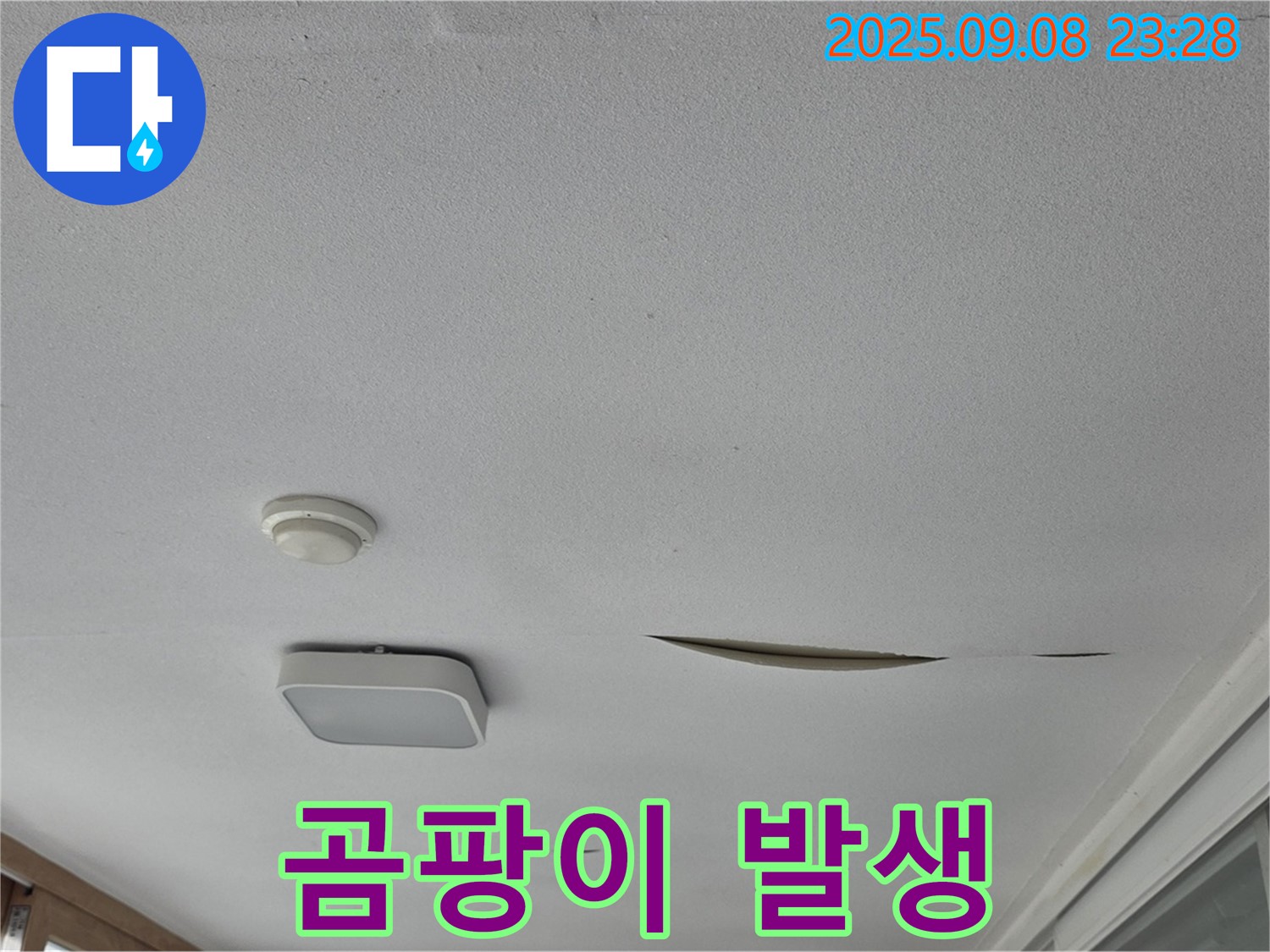 운악청계로 아파트 천장 누수 - 석고보드 젖음, 곰팡이 발생