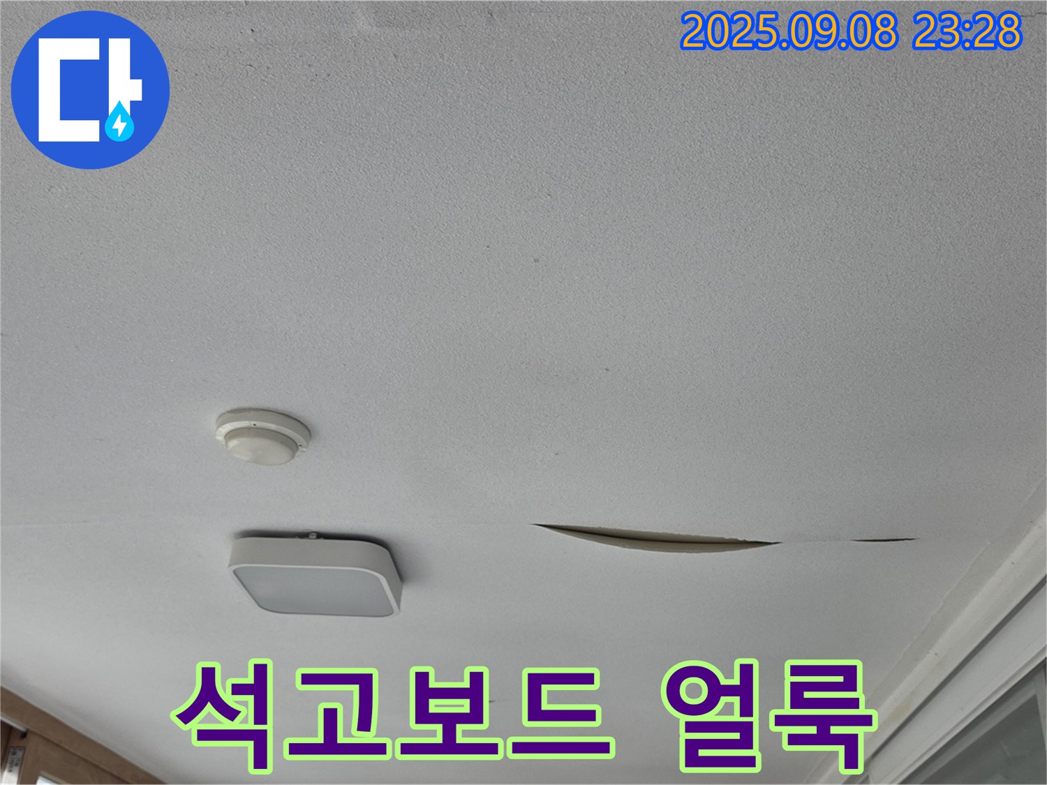 일동 아파트 천장 누수 - 석고보드 얼룩, 지속적인 누수 의심